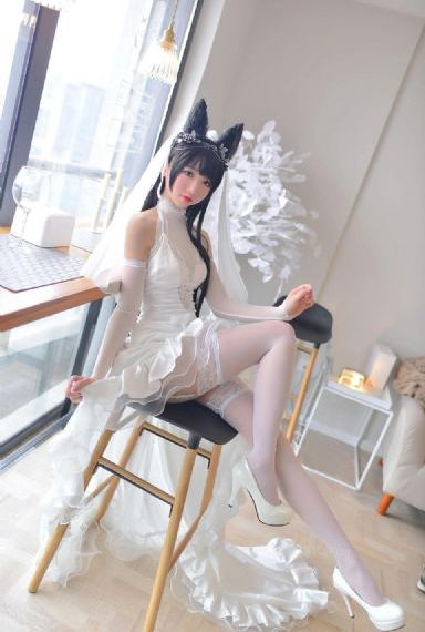 金牌律师电视剧全集免费观看_1080P高清视频观看