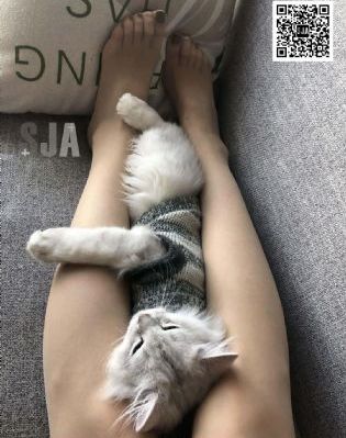 哈利波特与魔法石_国产剧完整在线观看
