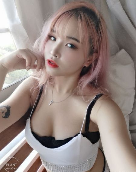 兽王争锋第一季_HDHD高清在线观看