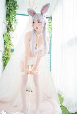 美少女战士国语版_全集在线观看