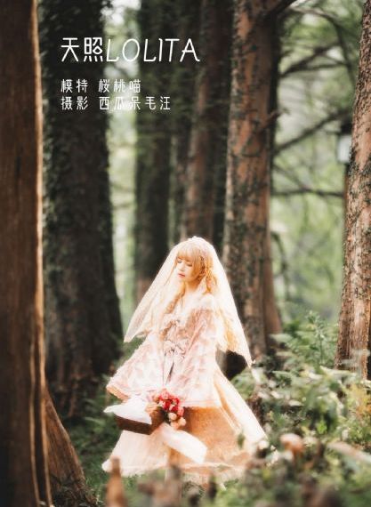 风流小姨子电影_BD韩语在线视频观看