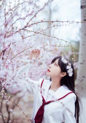 纤细的爱在线观看_蓝光免费在线观看
